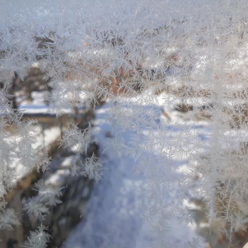 Eiskristalle