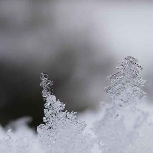 Eiskristalle