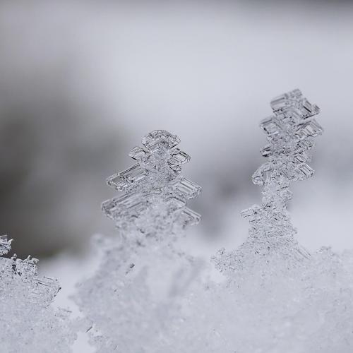 Eiskristalle