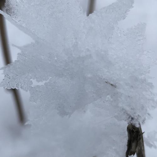 Eiskristalle