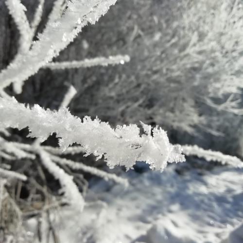 Eiskristalle