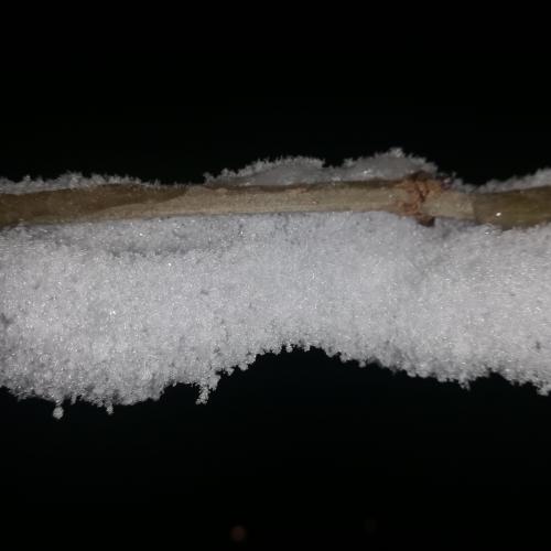 Eiskristalle