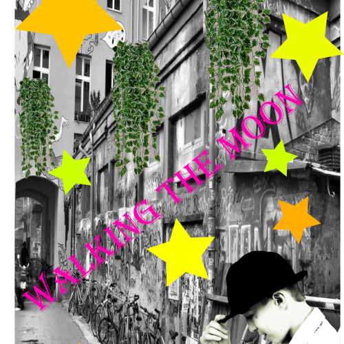 Layouts
