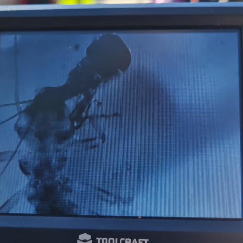 Waldpädagogische Tage