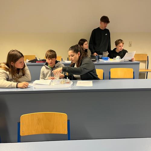 Forschendes Lernen - Säuren und Laugen