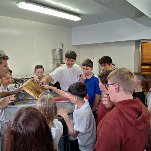 2c in der Imkerschule