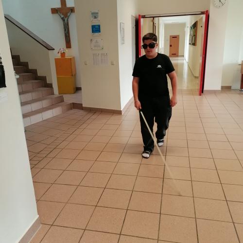 ARGE Sehen