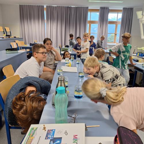 Wasser ist Leben - MINT-Nachmittag