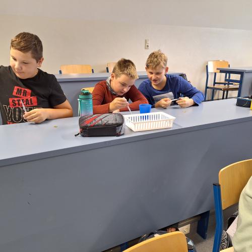 MINT-Nachmittag Oberflächenspannung