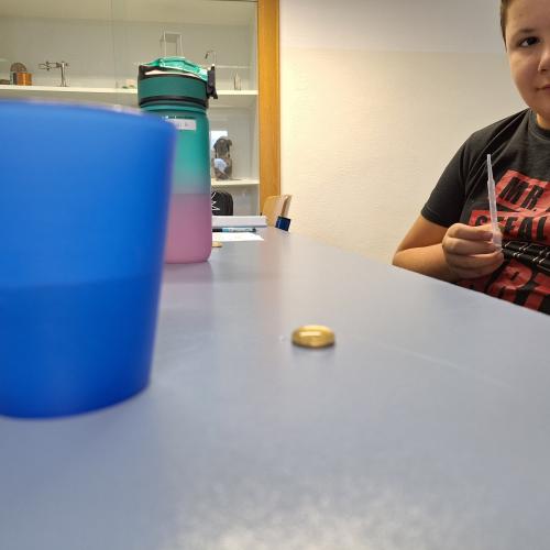 MINT-Nachmittag Oberflächenspannung