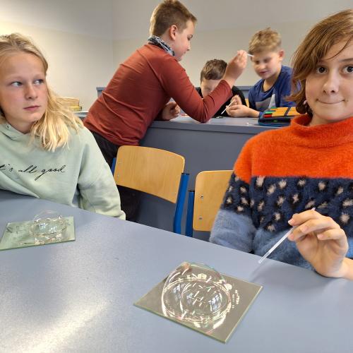 MINT-Nachmittag Oberflächenspannung
