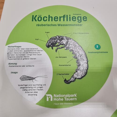 Swarovski Wasserschule