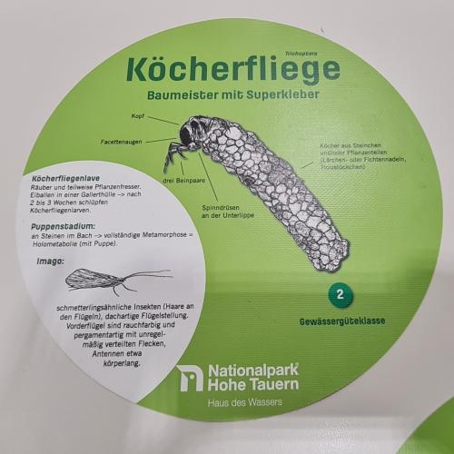 Swarovski Wasserschule