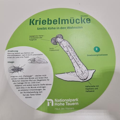 Swarovski Wasserschule