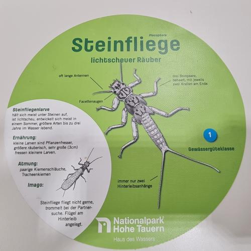 Swarovski Wasserschule