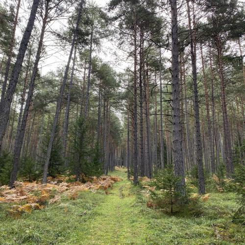 Wandertag 2. Klassen 2024