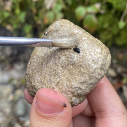 Swarovski Wasserschule