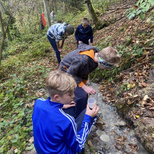 Swarovski Wasserschule