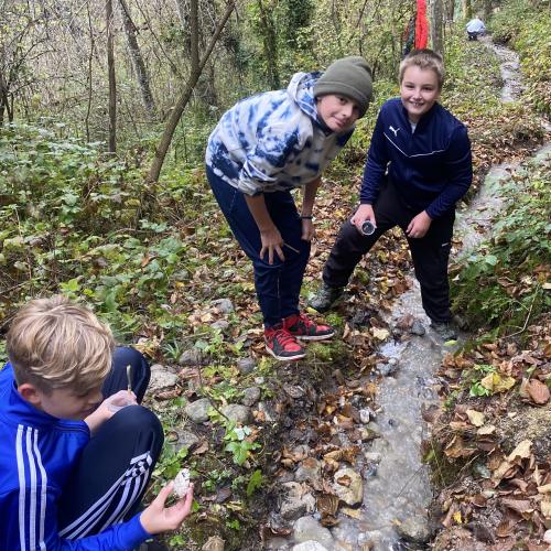 Swarovski Wasserschule