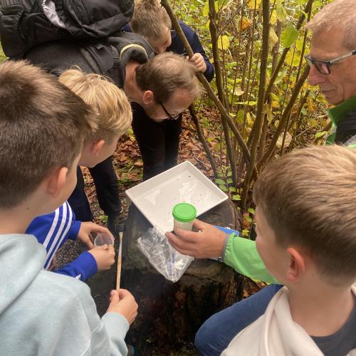 Swarovski Wasserschule