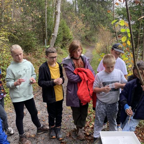 Swarovski Wasserschule