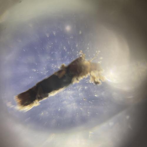 Swarovski Wasserschule