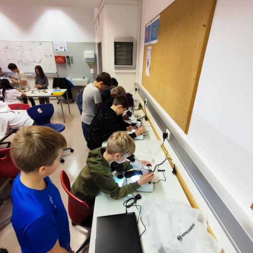 Pilzeworkshop