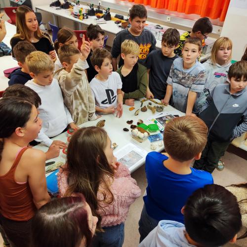 Pilzeworkshop