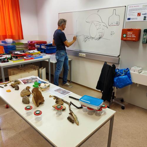 Pilzeworkshop