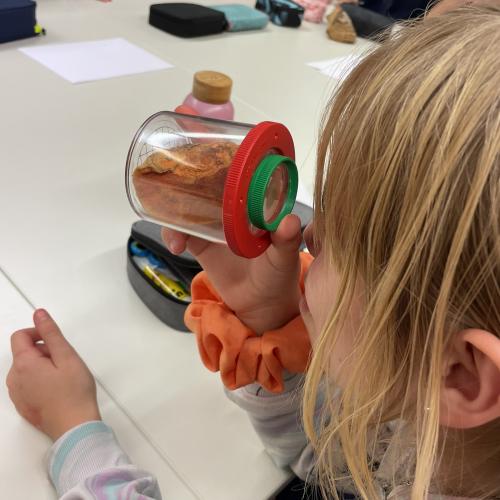 Pilzeworkshop