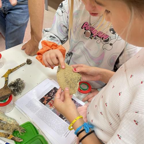 Pilzeworkshop