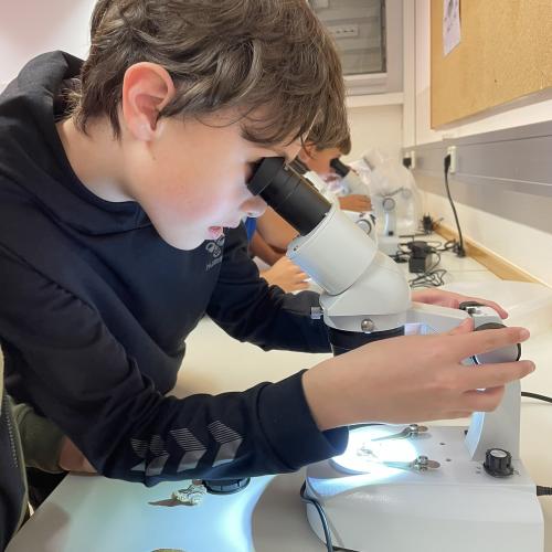 Pilzeworkshop
