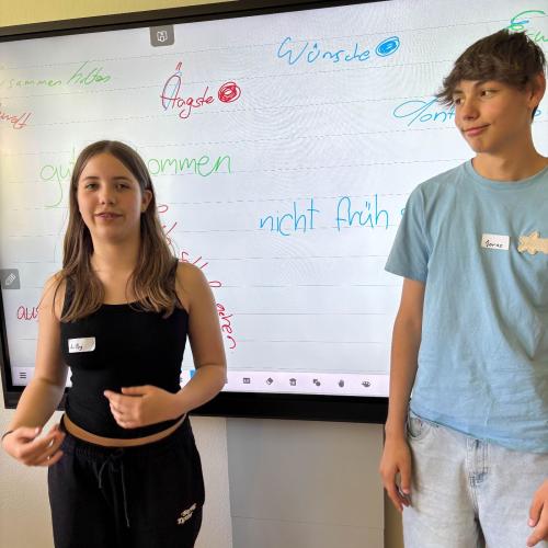 Buddyausbildung2025