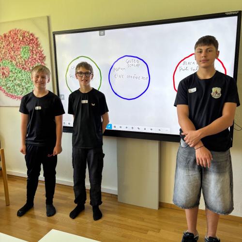 Buddyausbildung2025