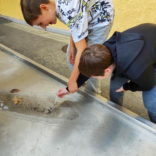 Experimente mit Wasser