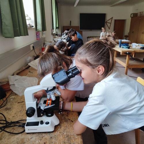 Experimente mit Wasser