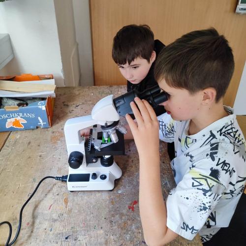 Experimente mit Wasser