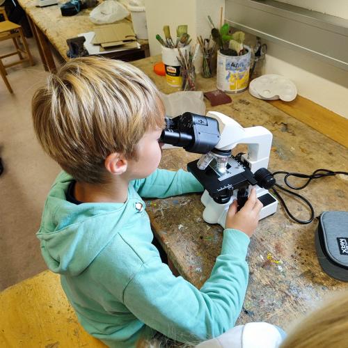 Experimente mit Wasser