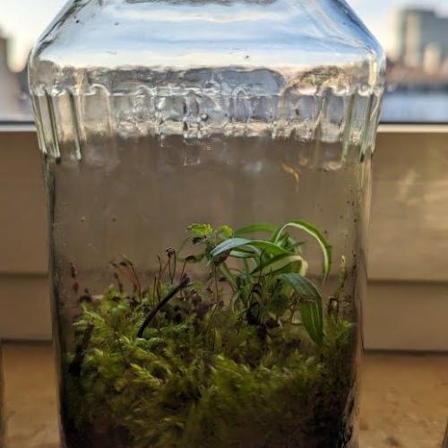 Experimente mit Wasser