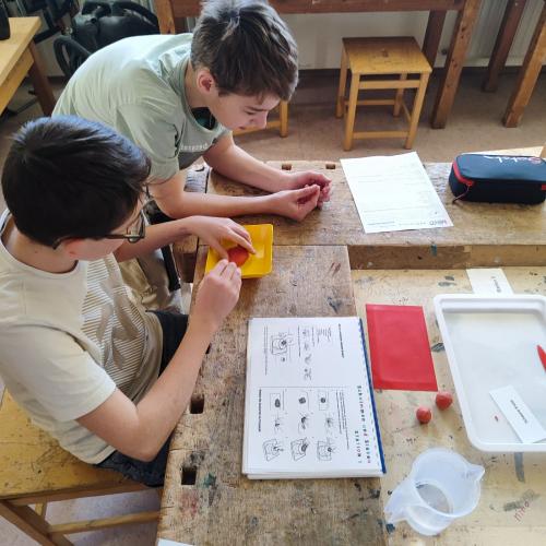 2a schwimmen, schweben und sinken