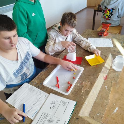 2a schwimmen, schweben und sinken