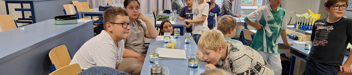 Wasser ist Leben - MINT-Nachmittag