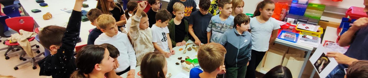 Pilzeworkshop