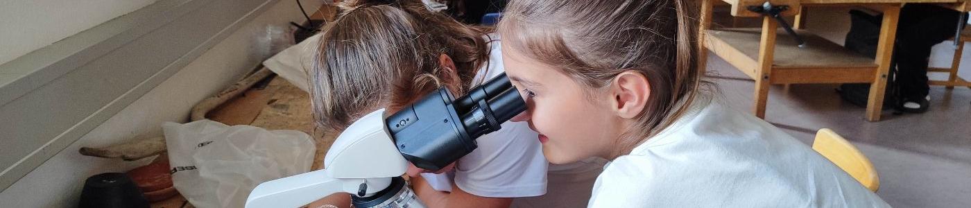 Experimente mit Wasser