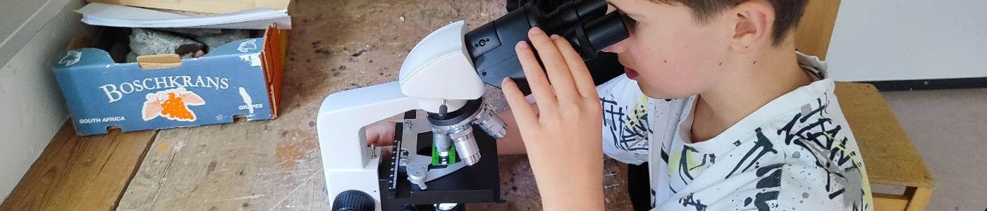 Experimente mit Wasser